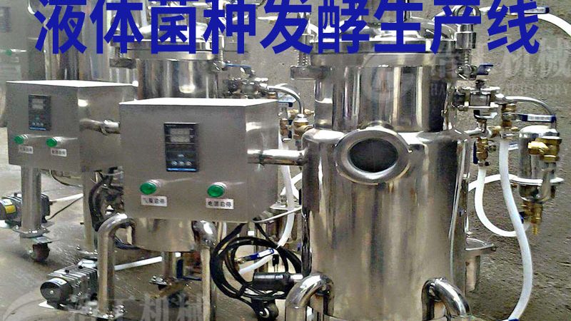 成都果蔬加工设备安装：关键环节与注意事项